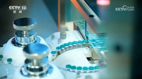 焦點訪談 新質(zhì)生產(chǎn)力 大文章用心寫